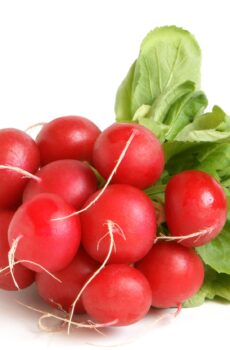 Rabanito orgánico 1 Lb